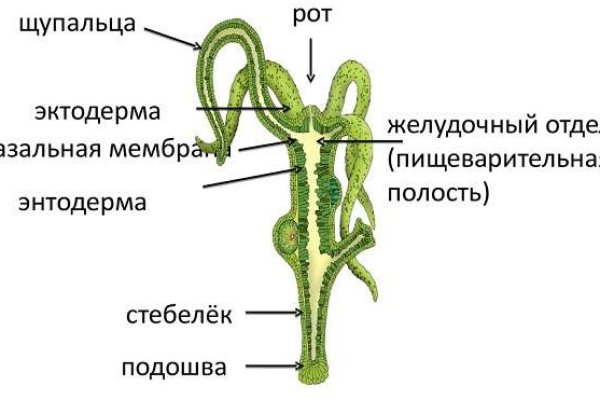 Ссылка кракен kr2web in